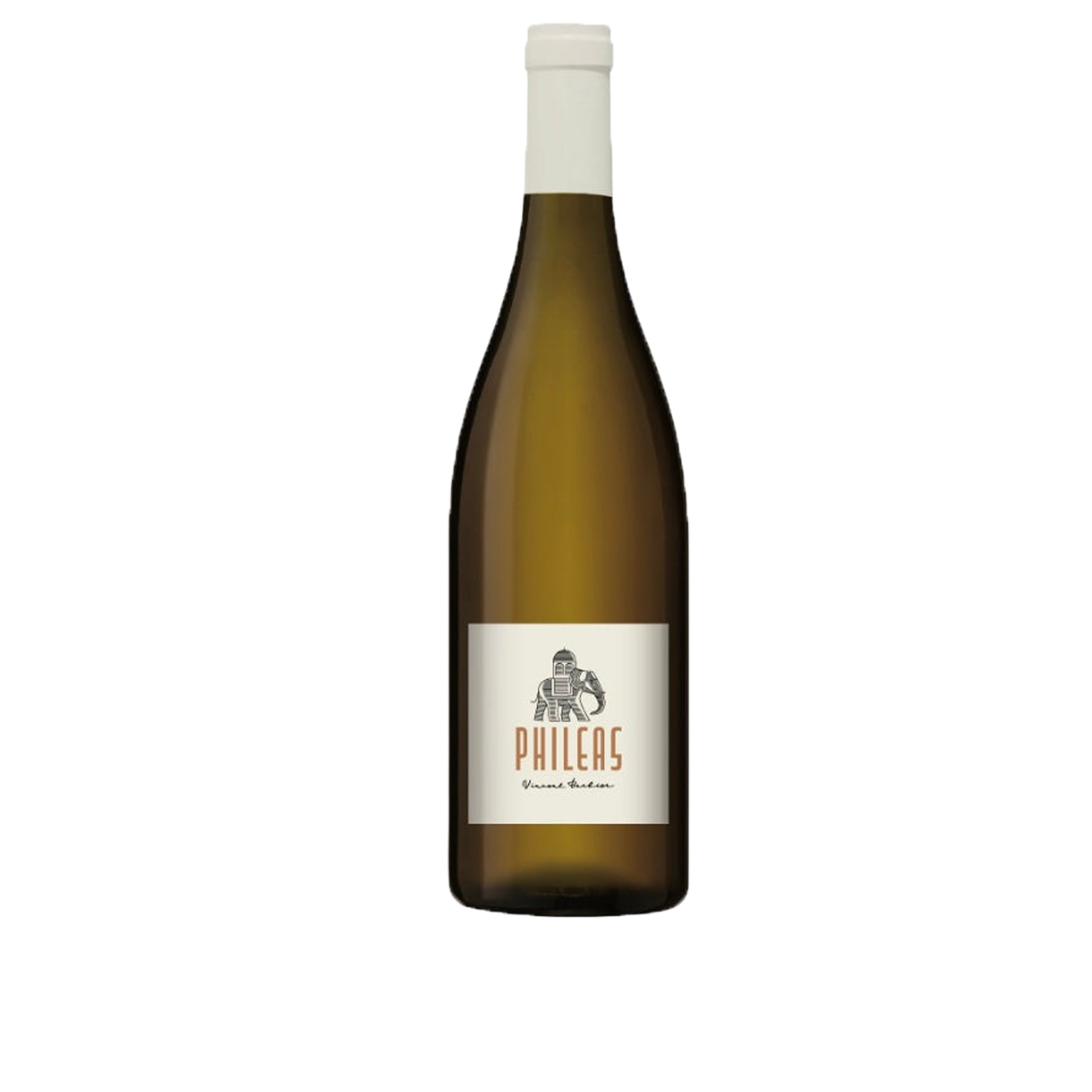 Vin blanc, Muscadet Sèvre et Maine sur lie - Phileas - 2020 - 12 °