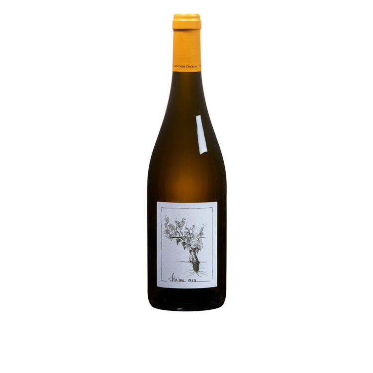 Vin blanc, Muscadet Sèvre et Maine bio - Anima Mea - 12 °